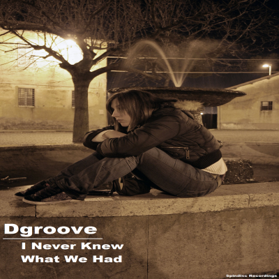 Dgroove - I Never Knew What We Had